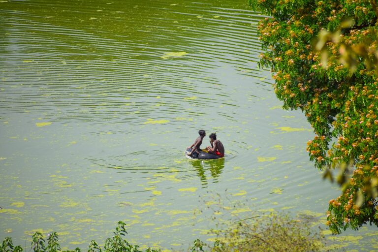 Two fishermen catching fish in River Godavari, Nashik